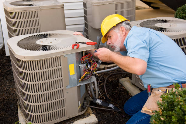 Best HVAC air duct cleaning  in Carleton, MI
